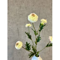 Helichrysum hvid 68 cm