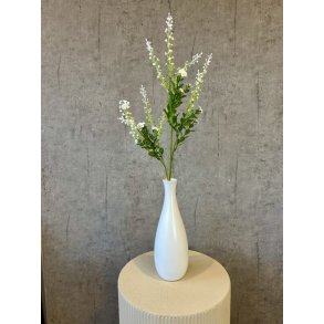 Phytolacca hvid 72 cm