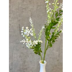 Phytolacca hvid 72 cm