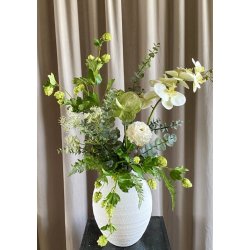 Sk�rmblomst hvid 50 cm