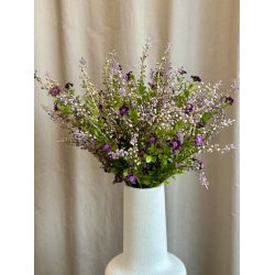 Phytolacca lilla 72 cm