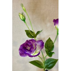 Lisianthus Lilla 67 cm