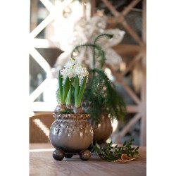 Urtepotte Anya Brun Melange