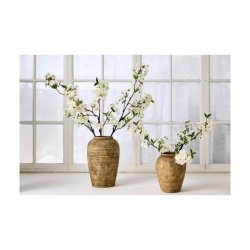 Kirseb�rgren Hvid - 90 cm