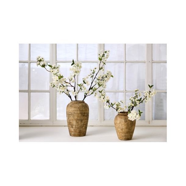 Kirseb�rgren Hvid - 90 cm