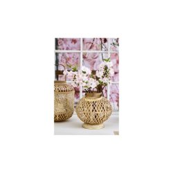 Kirseb�rgren Lyser�d - 90 cm