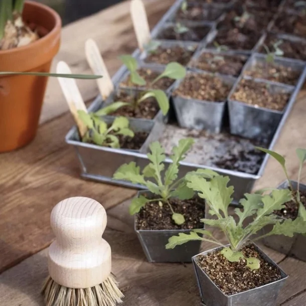 W.E.T Seed Pot 30 - s�bakke