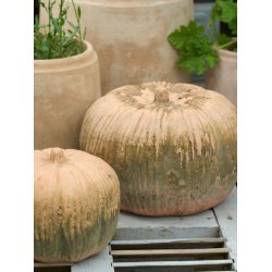 Paprika Gr�skar Patina 