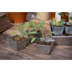 W.E.T Seed Pot 30 - s�bakke