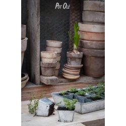 W.E.T Seed Pot 30 - s�bakke