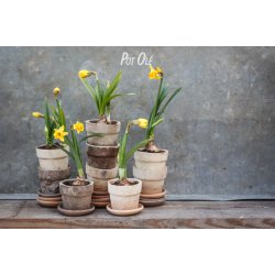 Mini pot inkl. undersk�l